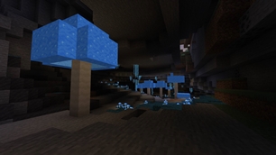 Blue Mushroom Cave.jpg