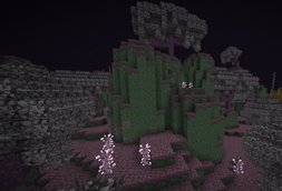 Chorus Blossom Grove 2