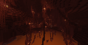 Nether Biome