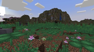 Clover Field with Mountain.jpg