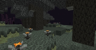 Pale Forest