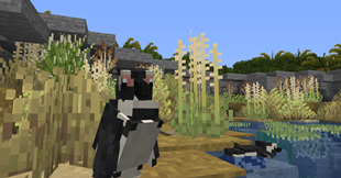 banded penguin - arty