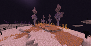 End Biome