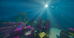 Coral Reef