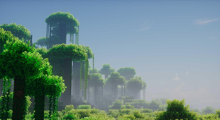 Jungle
