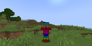 Rainbow Armor