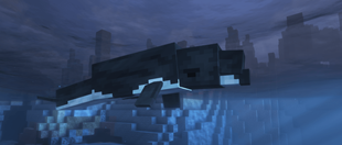 Northern Right Whale Dolphin