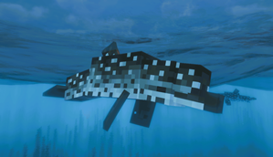 Pantropical Spotted Dolphin