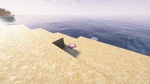 A Shell
