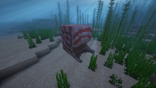 Krakentilus hidden in Its Shell
