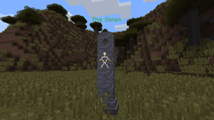 The Golem - naturally generated menhir stone