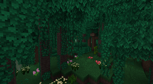 Sanctuary of the Deep Jungle