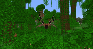 Brazilian Wandering Spider