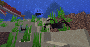 Diving Bell Spiders