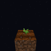 Peanut Growth Stages