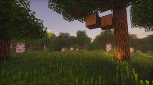 Grassy!