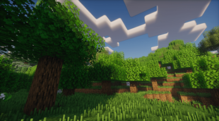 Forest!