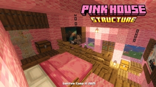 Pink Wool House Interior 