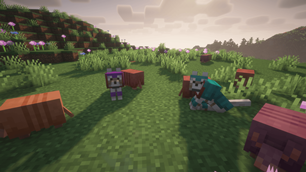 Compatible with Resource Packs