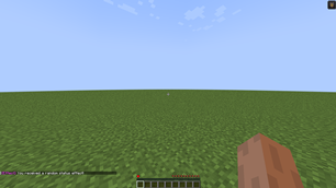 Minecraft_ 1.19.2 - Singleplayer 13-11-2025 11_28_57.png