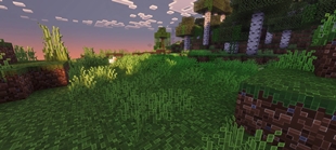 Screenshot 46