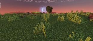 Screenshot 47