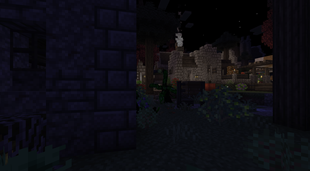 Night Village Among Shadows