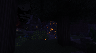 The Hidden Glow of the Forest
