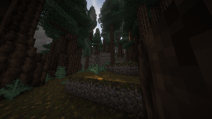 day-forrest-png.png