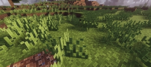 Screenshot 21