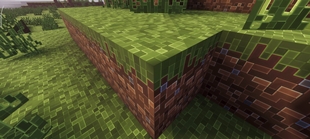 Screenshot 24