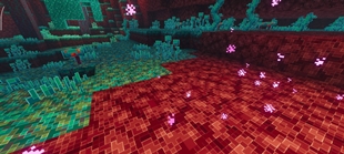 Screenshot 28