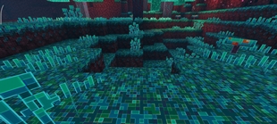 Screenshot 29