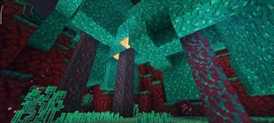 Screenshot 30