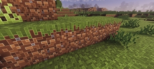 Screenshot 31