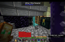 Gameplay