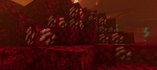 Screenshot 33