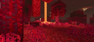 Screenshot 35