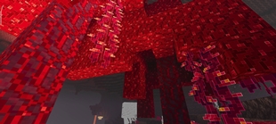 Screenshot 36