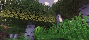 Screenshot 41