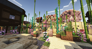 ServerVillage.png