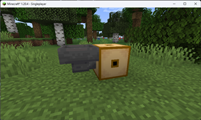 StorageBox Adapter