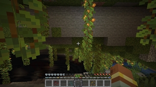 miner.jpg