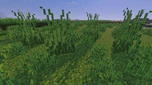 Screenshot 25