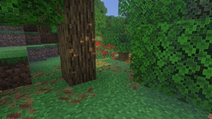 Screenshot 32