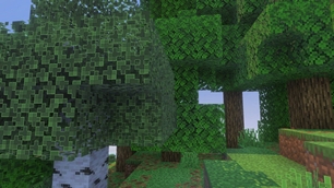 Screenshot 36