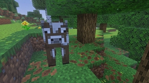 Screenshot 38