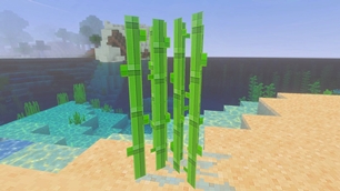 Screenshot 40