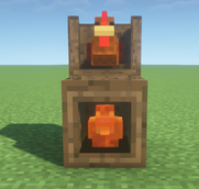 Roost + Nest