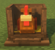 Rooster in Nest